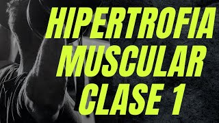 CURSO HIPERTROFIA MUSCULAR CLASE 1 [upl. by Bringhurst539]