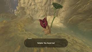 Korok seeds  Tanagar Canyon Course  Ridgeland Tower 25  Zelda BOTW [upl. by Neilla]