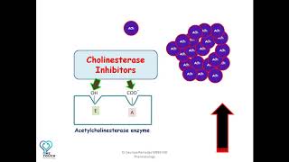 MOA of Cholinesterase inhibitorsAnticholinesterases edrophonium neostigmine  Organophosphates [upl. by Aicnatsnoc]