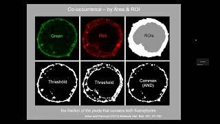 20240213  Colocalization lecture and workshop [upl. by Nnywg]