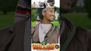 Leencoo Gammachuu WALAABUu [upl. by Qahsi]