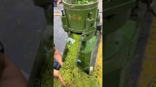 Fresh grass pellet making machine exportwoodpellet woodpelletmachine machine woodpelletfactory [upl. by Ilagam]