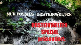 URSTEINWELTEN SPEZIAL Erfolgreiche Probegrabung an Pyramide [upl. by Nwahsit]