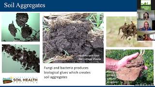 Soil Health for Vegetable amp Cut Flower Systems Soil health trainings for farm service providers [upl. by Sabino5]