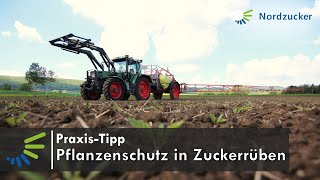 Pflanzenschutz in Zuckerrüben Unkraut und Ungrasbekämpfung [upl. by Oflunra559]