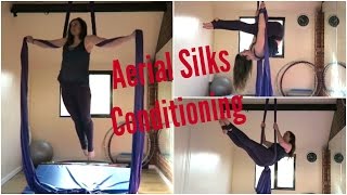 Aerial Silks Conditioning Exercises  UNIQUE AERIALISTS [upl. by Iras]