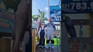 Commercial fishing and catching BIG FISH youtube shorts commercialfishing fishing fyp [upl. by Carisa]