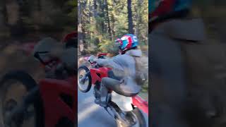 Whipping the big pig xr650r wheelie honda dirtbike hooning [upl. by Bordy]