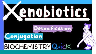 Xenobiotics  Metabolism of Xenobiotics  Detoxification  Conjugation  Biochemistry MBBS 1st yr [upl. by Lehet]