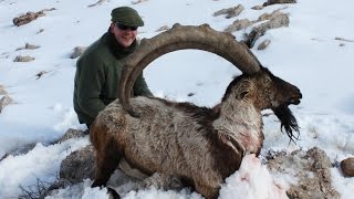 BEZOAR IBEX HUNTING HENRY SKEFFINGTON amp FRONTIER [upl. by Lasiaf885]