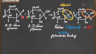 Q 11 Disaccharide [upl. by Stag156]