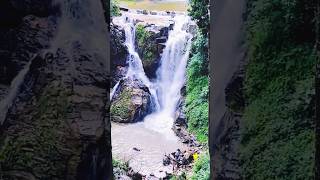 Waterfalls near Rani jhari viewpoint beautifulhillstation chickmagaluru travel nature love [upl. by Akeinahs]