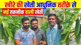 खीरे की खेती का आधुनिक तरीक़ा  खीरे की खेती  Cucumber Farming [upl. by Hafirahs757]