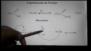 Mecanismo de sustitución Nucleofílica Acíloca en medio ácido Esterificación de Fischer [upl. by Anada]