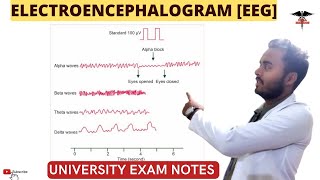 Electroencephalogram EEG  CNS Physiology [upl. by Asilana632]