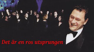 Det Är En Ros Utsprungen  Tommy Körberg  Oslo Gospel Choir [upl. by Kevyn368]