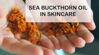 Sea Buckthorn Oil Benefits for Skin  Sea Buckthorn Oil in Skincare [upl. by Frankel]