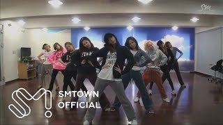 Girls Generation 소녀시대 I GOT A BOY Dance Practice [upl. by Tann]