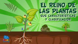 El reino de las plantas Sus características y clasificación  Vídeos Educativos para Niños [upl. by Felten865]