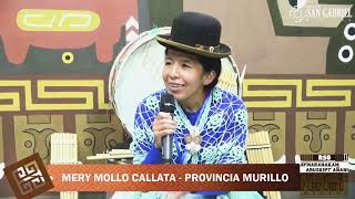 ENTREVISTA A MERY MOLLO CALLATA DE LA PROVINCIA MURILLO [upl. by Etana622]