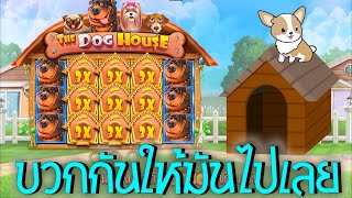 The Dog House ➽ PPSlot สล็อตบ้านหมา มันต้องไปให้สุด อย่ายอมแพ้ บวกกันไปเลย MSSlot [upl. by Aihsercal]