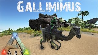 ARK Survival Evolved  Gallimimus Taming and Speed Testing [upl. by Bentley]