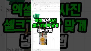 셀에 딱 맞게 이미지 넣는 방법 계속해서 수정 가능한 꿀팁 [upl. by Nonnahsed]