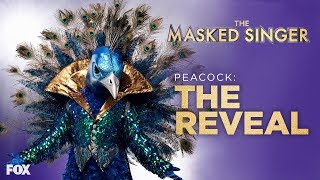 The Peacock Is Revealed  Season 1 Ep 10  THE MASKED SINGER [upl. by Nibram681]