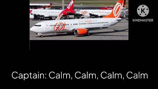 Gol flight 1907 CVR with subtitles [upl. by Nnylkcaj]