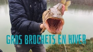 Pêche du Big Brochet en Hiver 2016 1 [upl. by Araz]