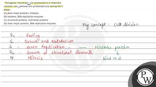 Throughout interphase are synthesised at a relatively constant rate whereas are synthesised on [upl. by Rexer]