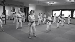 Karate Schule Rheinfelden [upl. by Biddick398]