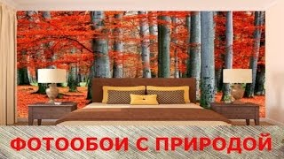 Природа в вашем домефотообои в интерьере [upl. by Rico]