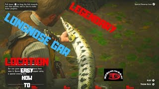 Legendary LONGNOSE GAR LOCATION Easy how To RDR2 [upl. by Sirac23]