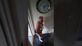 SCARING MY WIFE 9 scared scare wife [upl. by Agnola]