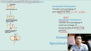 Generalized transduction vs Specialized Transduction [upl. by Kcirredal]