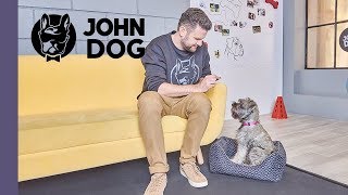 Jak mądrze wychować szczeniaka – TRENING – JOHN DOG [upl. by Asserat526]