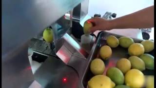 Fresh Lemon Peeler Machine [upl. by Vories]