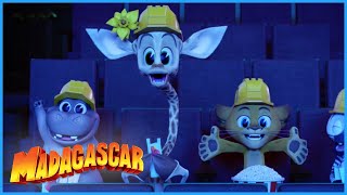 Movie Madness  Madagascar A Little Wild  Mini Moments [upl. by Ecidnarb]