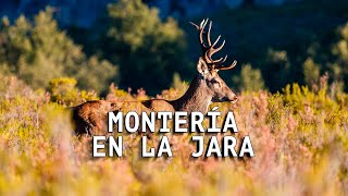 Montería en la Jara  Documental COMPLETO  Iberalia GO [upl. by Ecnerrat53]