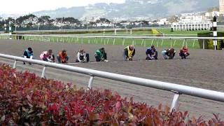 Wiener dog races Final [upl. by Ollopa91]