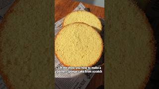 How to make a perfect sponge cake from scratch 🍰 [upl. by Monteith771]