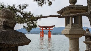 Japan Pt 6  Hiroshima amp Miyajima Island [upl. by Hachman722]