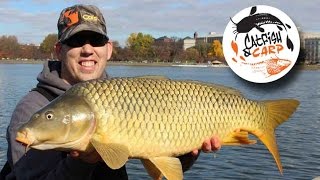 How to catch carp  carp fishing tips and techniques  carp bait [upl. by Oderfigis265]