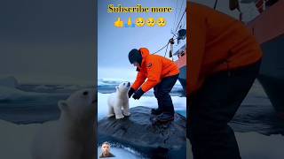 Baby polar bear rescue🥺 animals polarbear shorts wildlife rescue fishing polarbearlove [upl. by Rafaj]