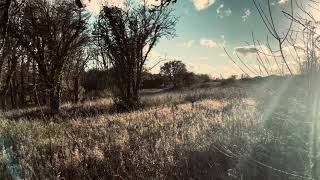 Kenley Aerodrome winter walk and Allegretto By Mauro Giuliani 17811829 [upl. by Yrojram]