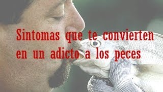 Síntomas que te convierten en un adicto a los peces [upl. by Rednave]