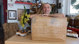 Crystal Box Opening by Healer Mark Bajerski  1 year in the making [upl. by Jinny371]