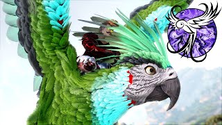 WHERE ARE THE ELEMENTALS  Primal Fear  EP7  ARK Survival Evolved [upl. by Elia311]