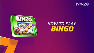 How to Play Bingo Game [upl. by Koral]